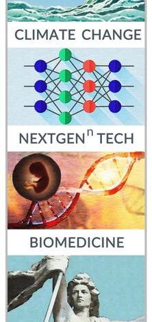 Bill Drayton and Social Entrepreneurship: How a Social Movement is Changing the World…and Launching Another: EVERYONE A CHANGEMAKER