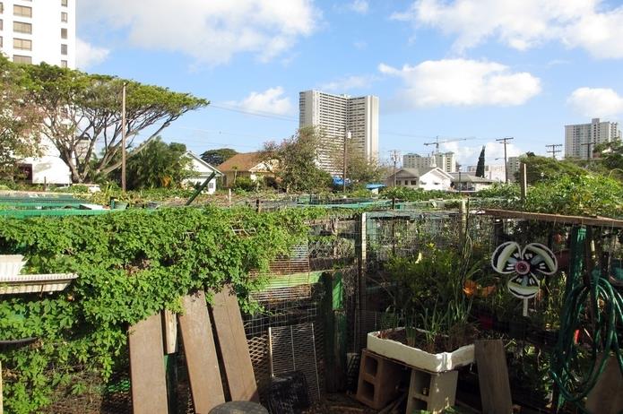 Five ways to make cities healthier and more sustainable