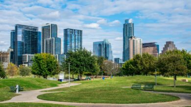 Five ways to make cities healthier and more sustainable