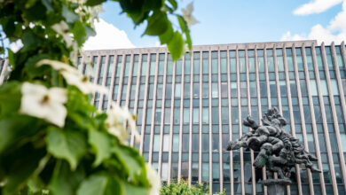 A Global Leader in Human Rights Career Advising