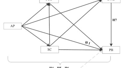 The influence of academic pressure on adolescents’ problem behavior: Chain mediating effects of self-control, parent–child conflict, and subjective well-being