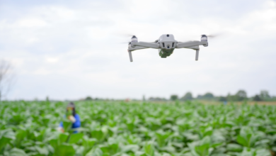 Claiming Rights, Making Humans: Data Justice and Agrarian Worlds