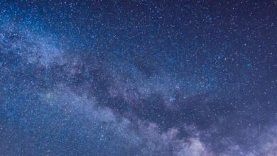 Discovery Education Blog