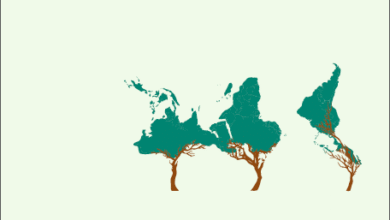 Fighting the tide: Human Rights and Environmental Justice in the Global South