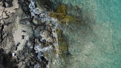 Hilton Launches New Six‑Part Eco‑Travel Docuseries