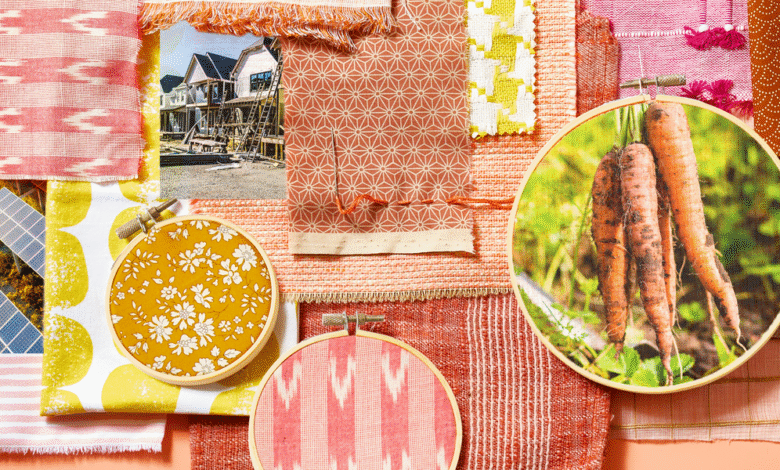 The Best Charities to Donate to in 2020