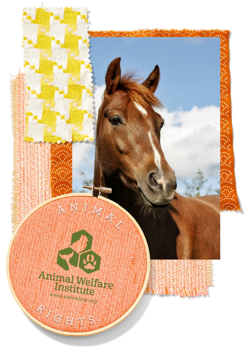 Animal Welfare Institute animal welfare institute