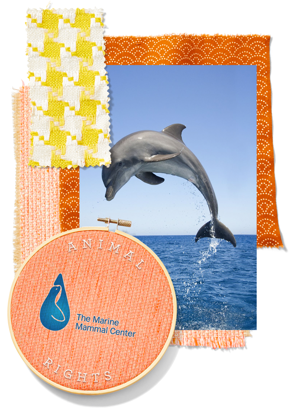 Marine Mammal Center marine mammal center