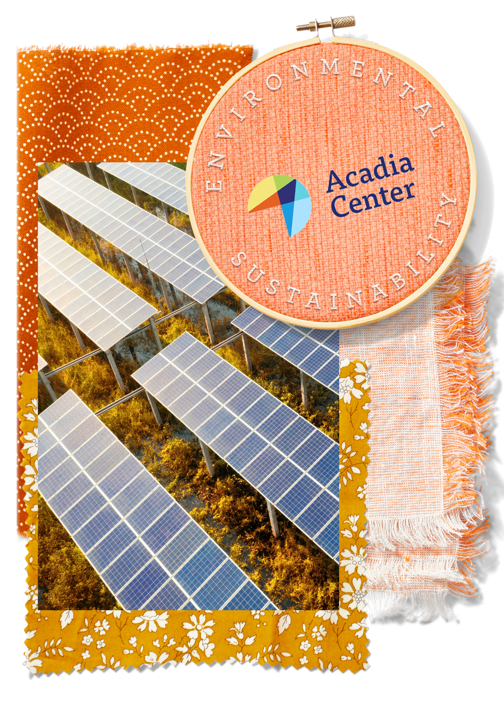 Acadia Center acadia center