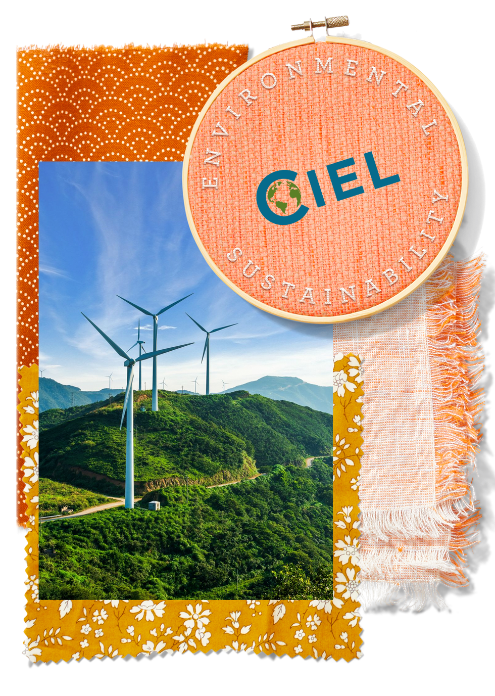 Center for International Environmental Law center for international environmental law