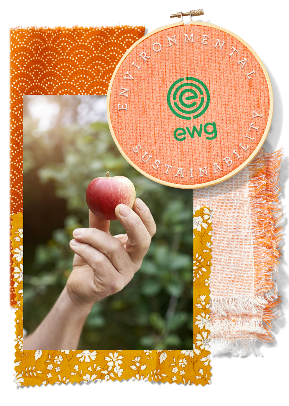 Environmental Working Group environmental working group