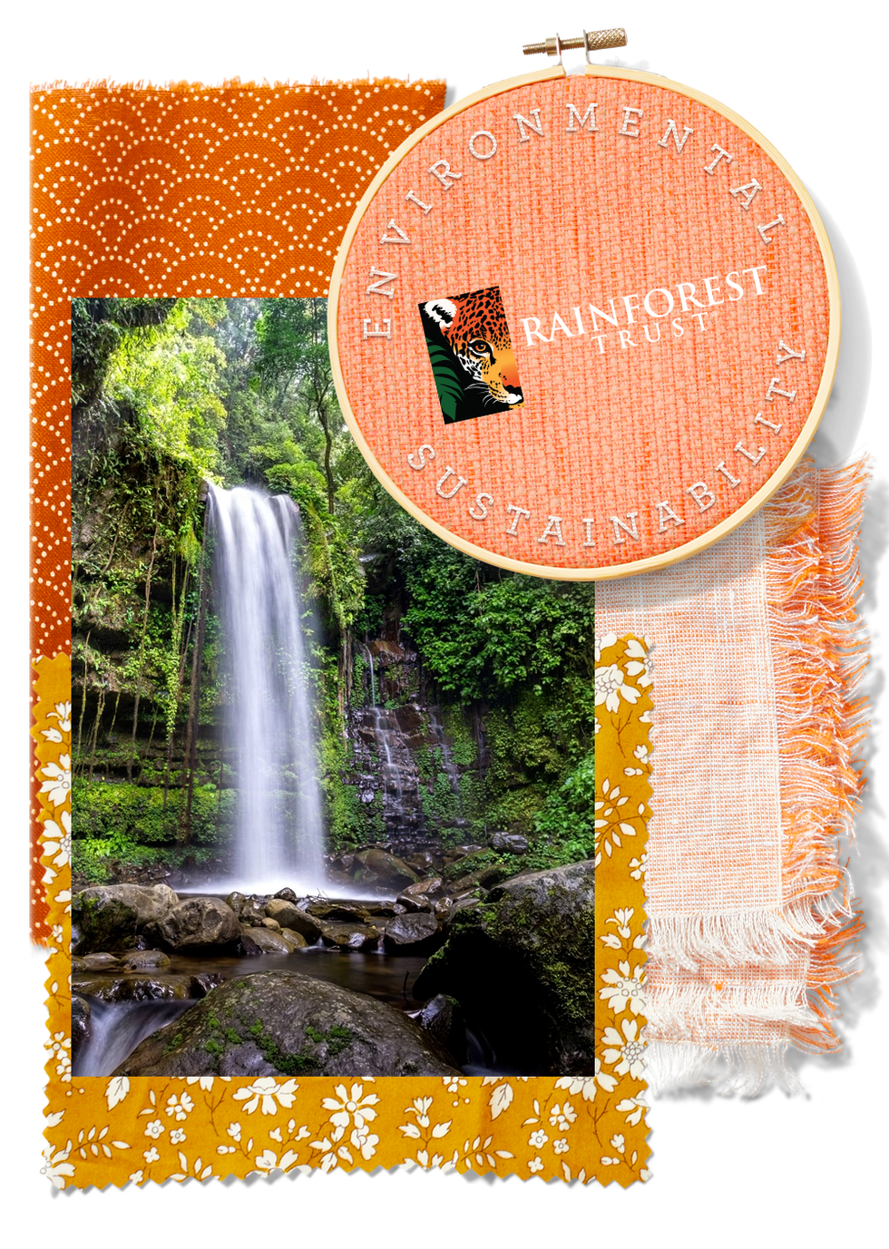 Rainforest Trust rainforest trust