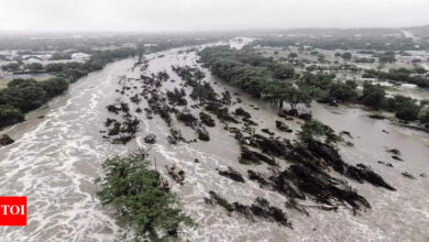 ‘Nobody saw this coming’: Texas flood kills 59; 27 girls still missing after camp washed away, rescue efforts enter day 3 | India News