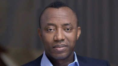 Amnesty International Knocks FG Over Fresh Charges Against Sowore
