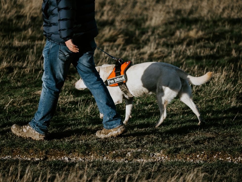 blind, visually impaired, sighted, love, dating, relationships, disabilities