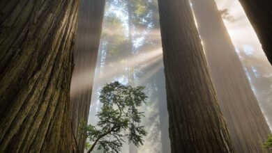 A World Where People & Nature Thrive