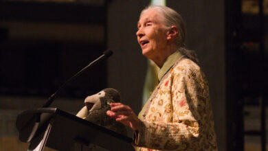 How do we say goodbye? Jane Goodall’s legacy of hope How do we say goodbye? Jane Goodall’s legacy of hope