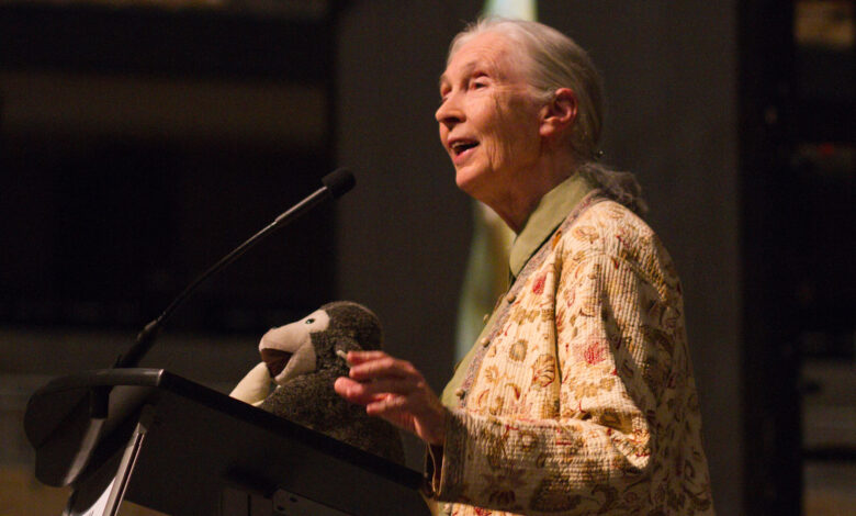 How do we say goodbye? Jane Goodall’s legacy of hope How do we say goodbye? Jane Goodall’s legacy of hope